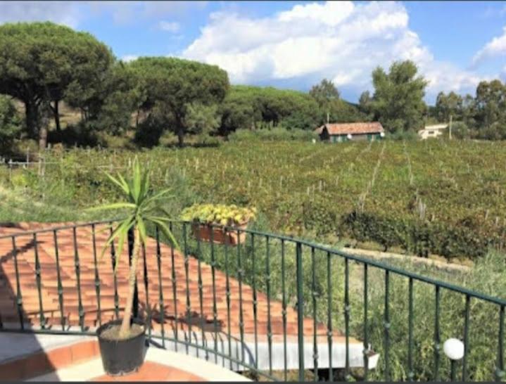 Beb Casale Pompei Rendine Villa Boscotrecase Exterior foto