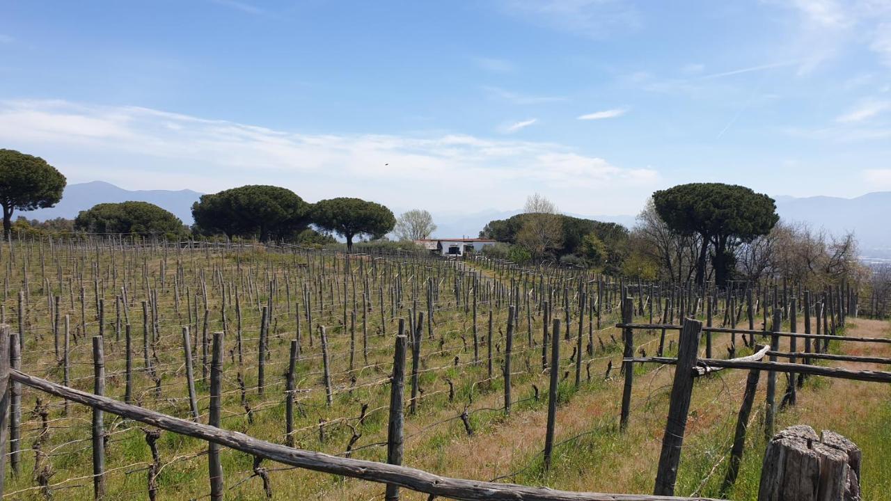 Beb Casale Pompei Rendine Villa Boscotrecase Exterior foto